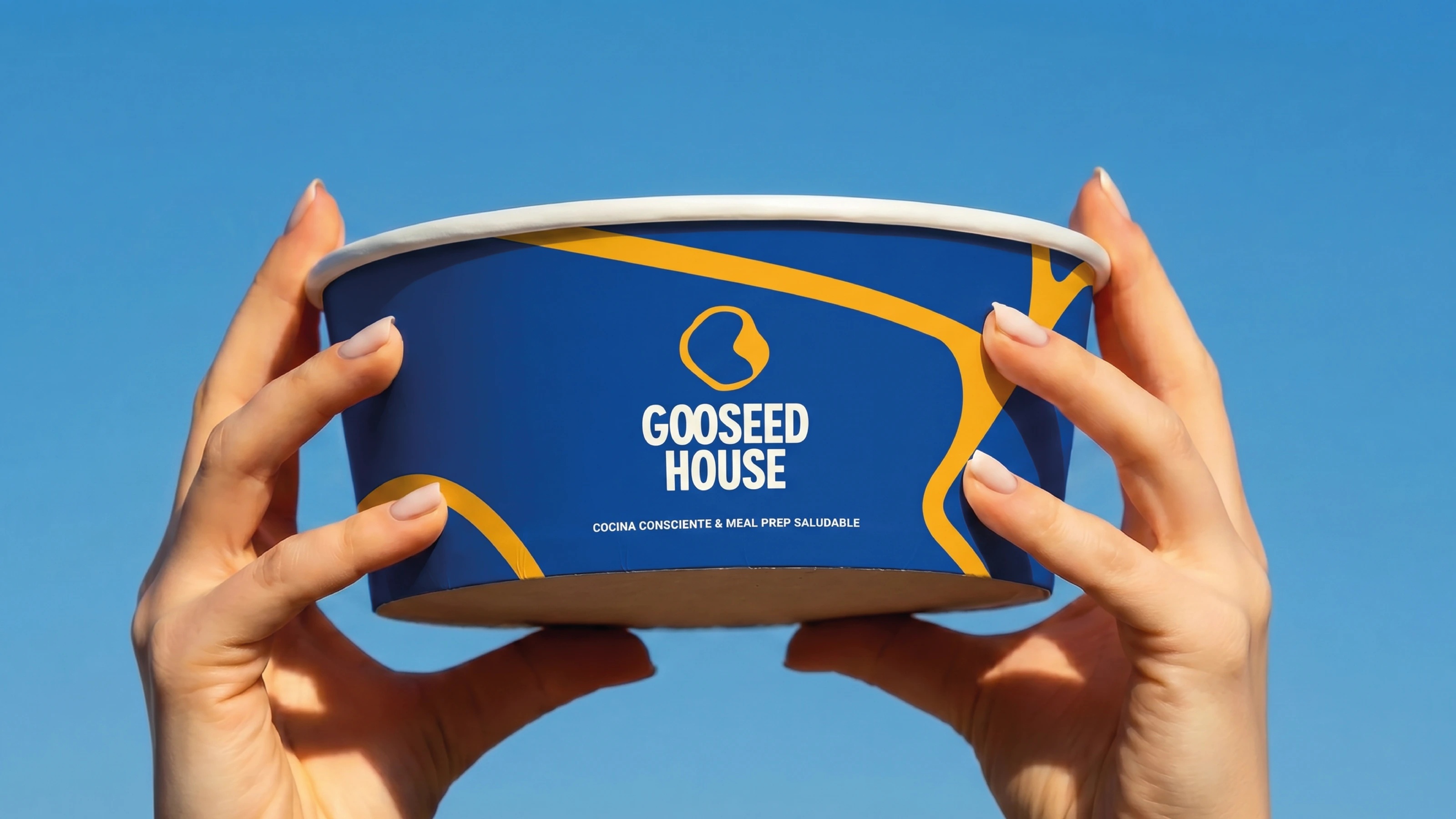 Gooseed House brand presentation — cover