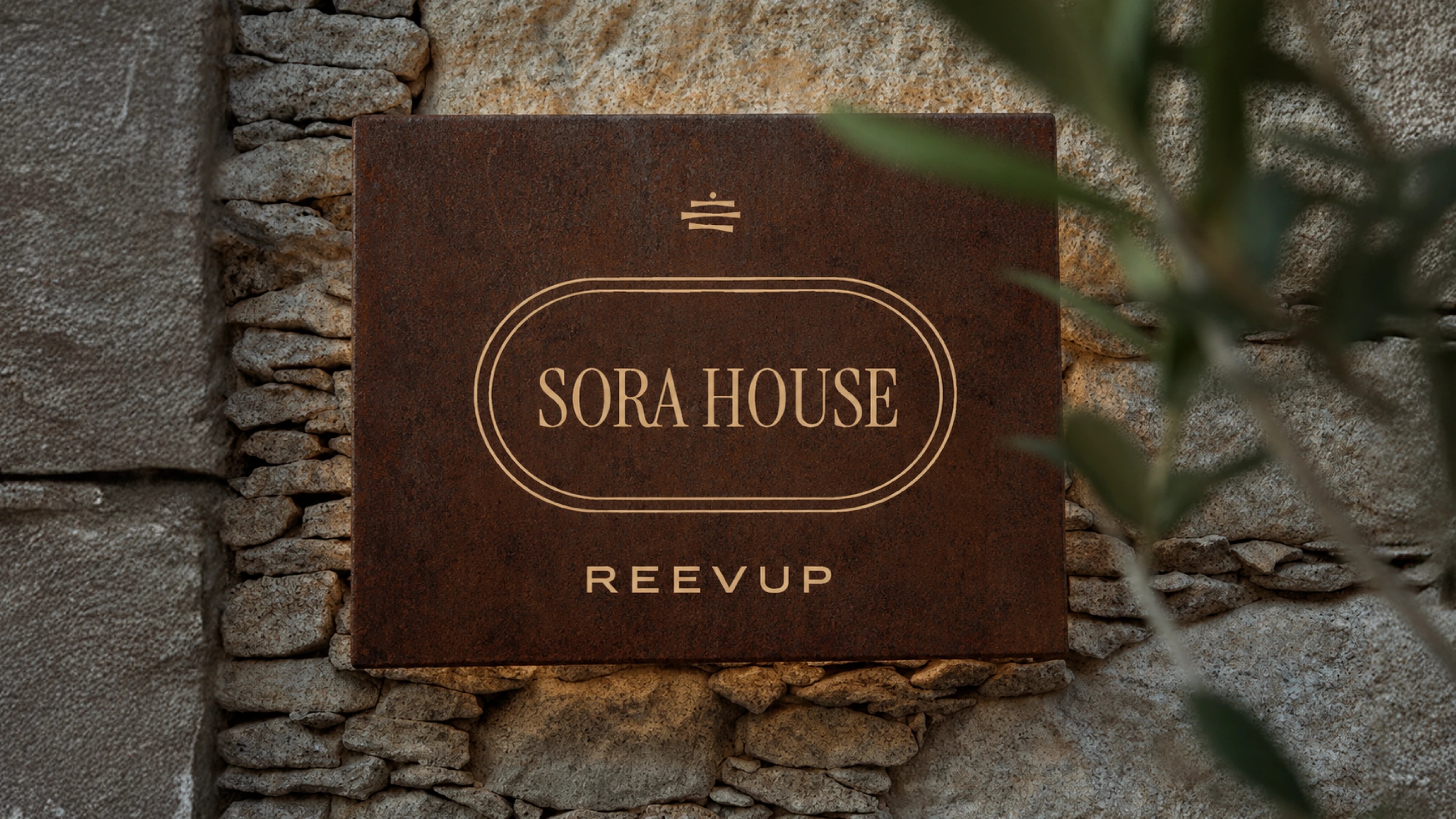 REEVUP brand presentation — cover